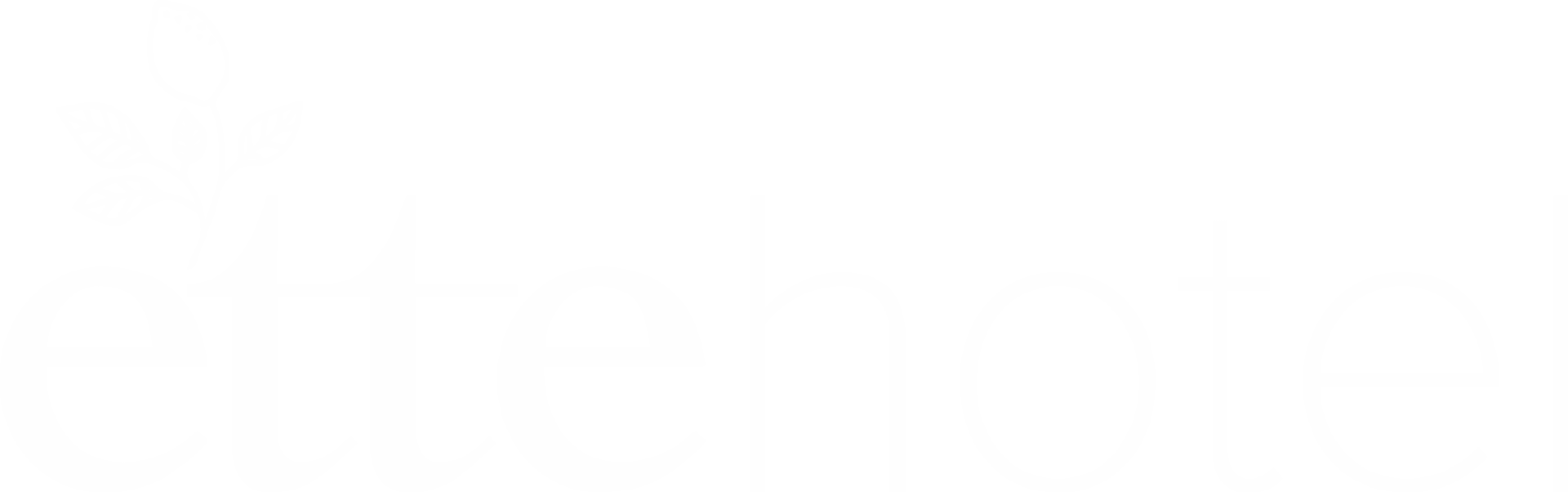 A black and white logo of the word " echo ".