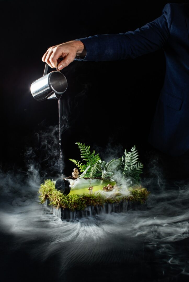 A person pouring liquid into a container on top of a plant.