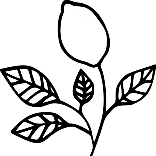 A black and white drawing of a plant with leaves.