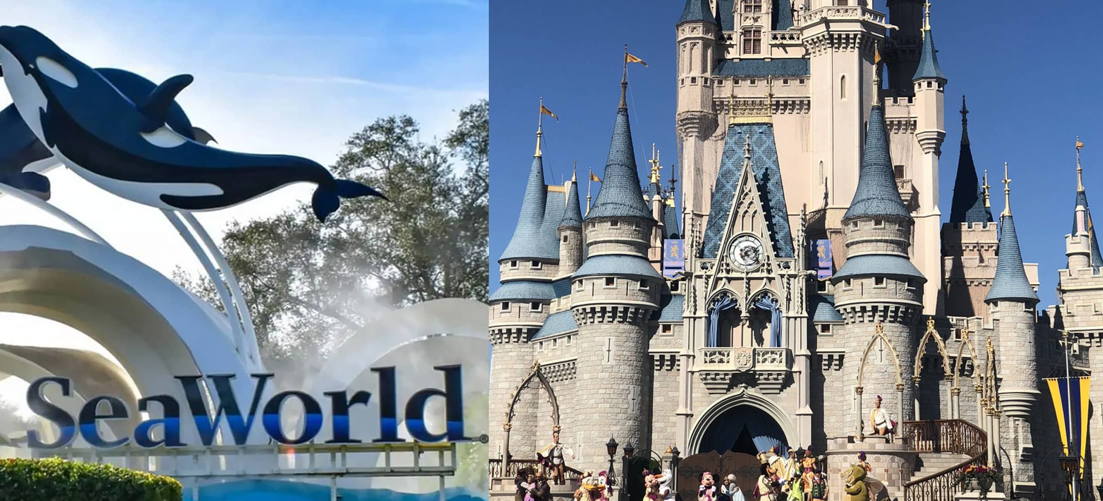 Seaworld and walt disney world.